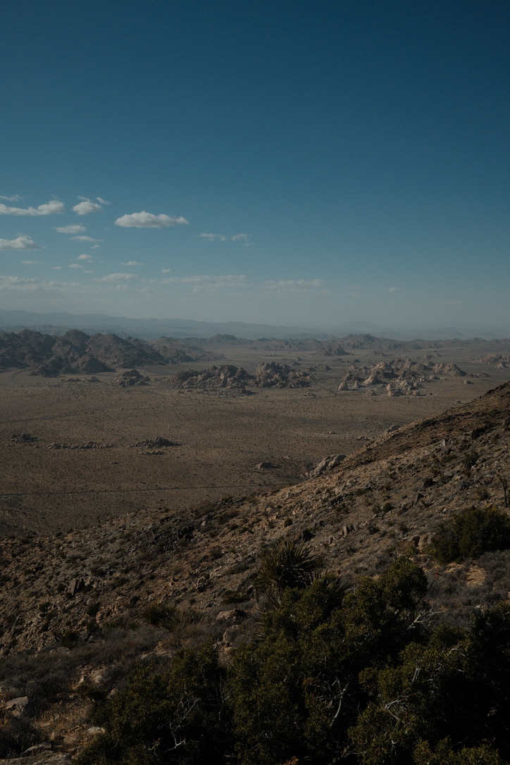 Joshua Tree desert landscape