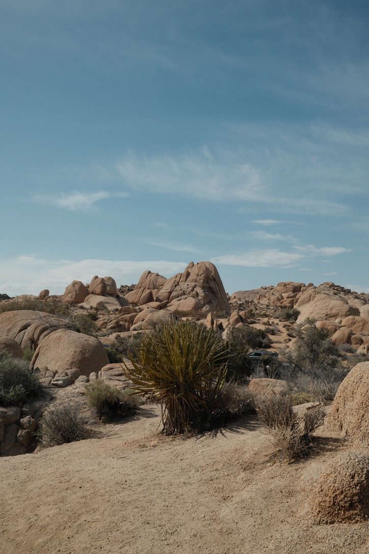 Joshua Tree rocks and yucca